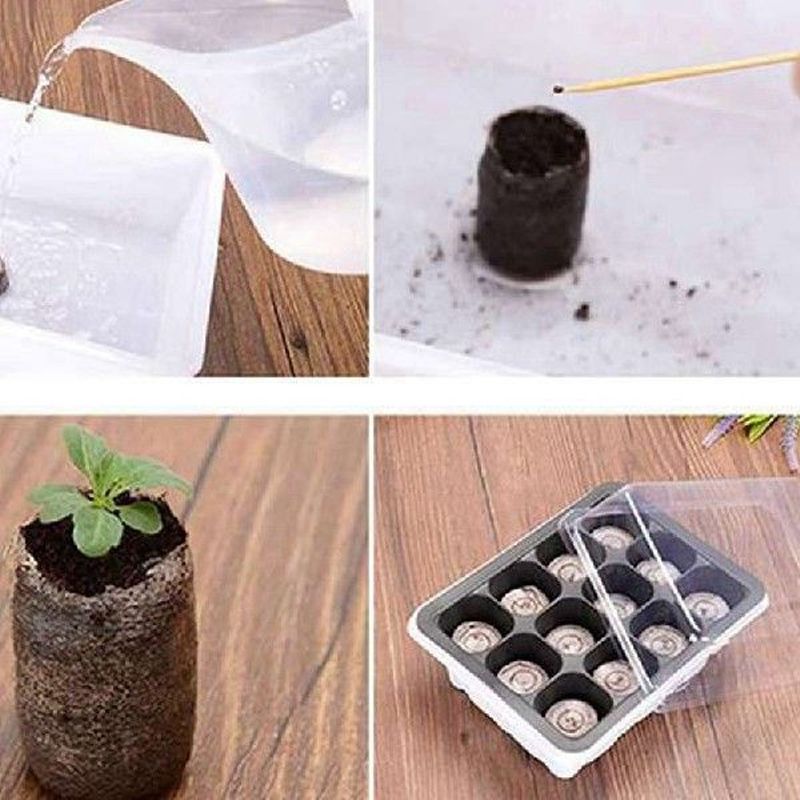 Seeds | 诚芯智联完成Pre-A轮融资，公司发展步入工程化快车道
