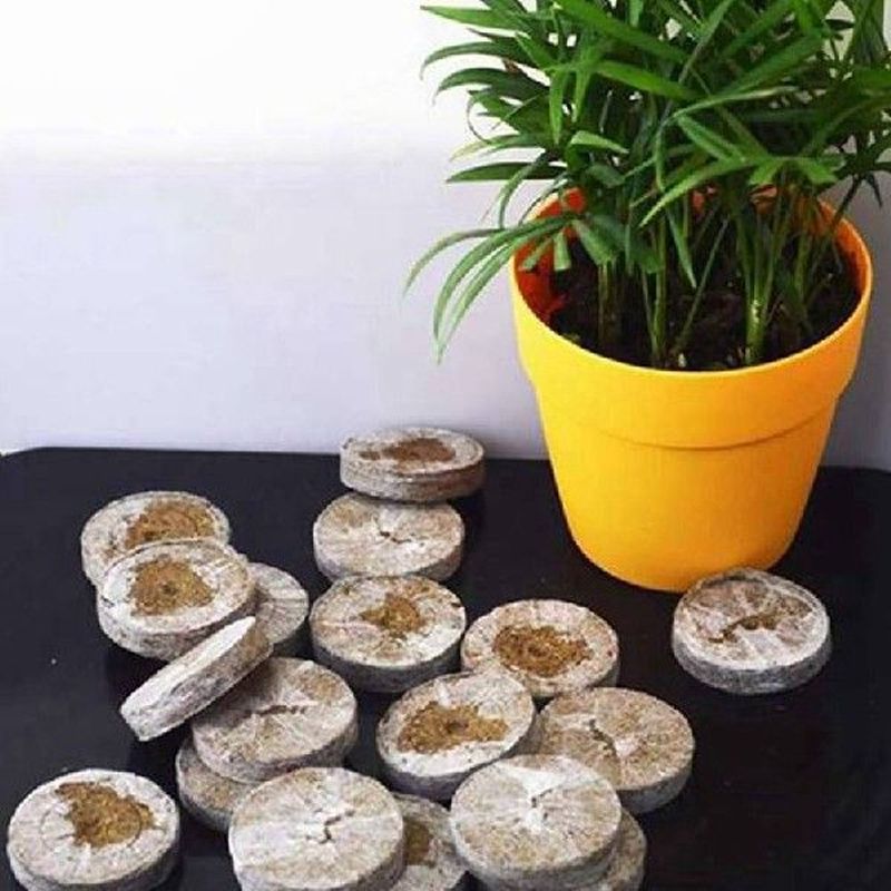 Seeds | 诚芯智联完成Pre-A轮融资，公司发展步入工程化快车道